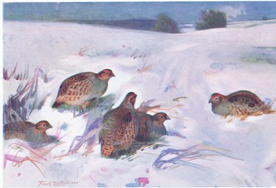When winter sets in hard by Frank Southgate